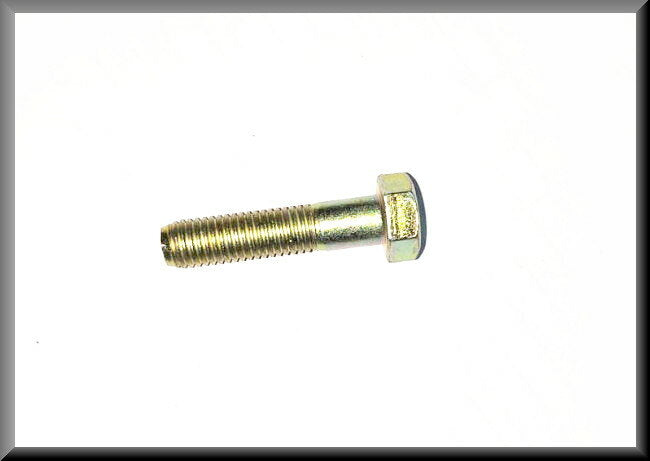 Boulon M7x30 (passivé jaune) – Renault