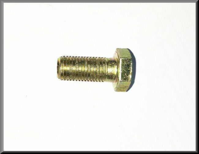 Vis M12x25 (passivée jaune)