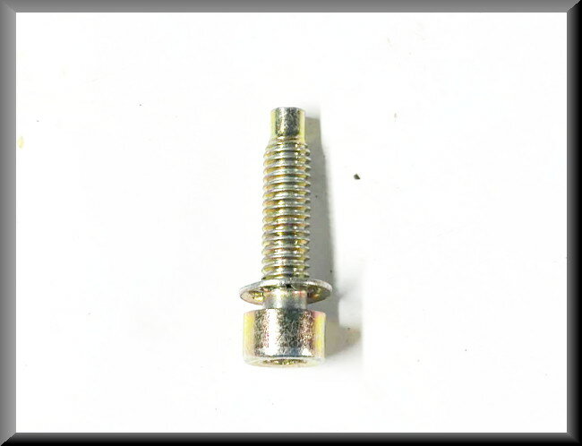 Allen bolt M6 25 mm (yellow passivated) – Renault 16