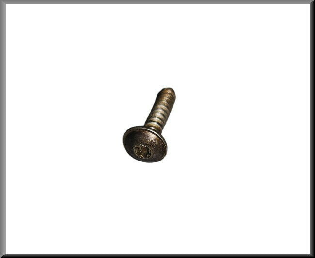 Torx schroef achterzijde dakspoiler – Renault 16 TX – OEM 7703016097