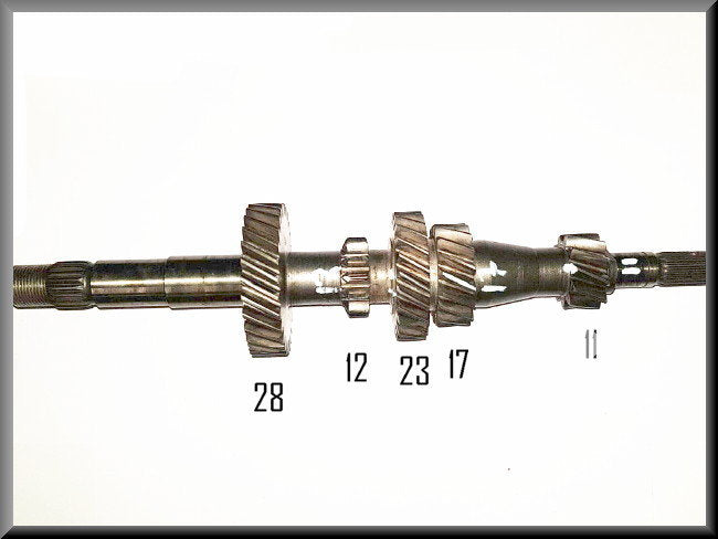 Primaire as  385 bak(28-12-23-17-11 tanden).