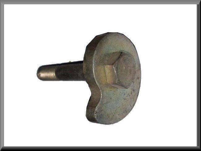 Stelbout torsievering achteras – Renault 16 – OEM 0824484600