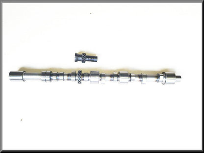 Arbre à cames avec pignon d'allumage Lotus Europa (moteurs 697 et 821) – Renault 16 – OEM 749321