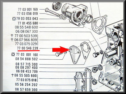 Cache-trou de montage de pompe à essence – Renault 16 – OEM 7700546239