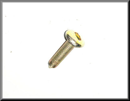 Vis poignée de porte – Renault 16 – OEM 7703006011