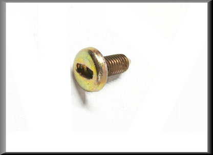 Vis de hayon – Renault 16 – OEM 7703007099