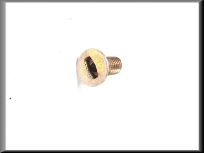 Rear door hinge screw – Renault 16 – OEM 7903004077