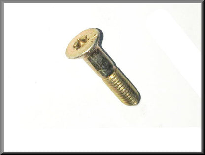 Vis serrure de porte avant et arrière – Renault 16 – OEM 7703004073