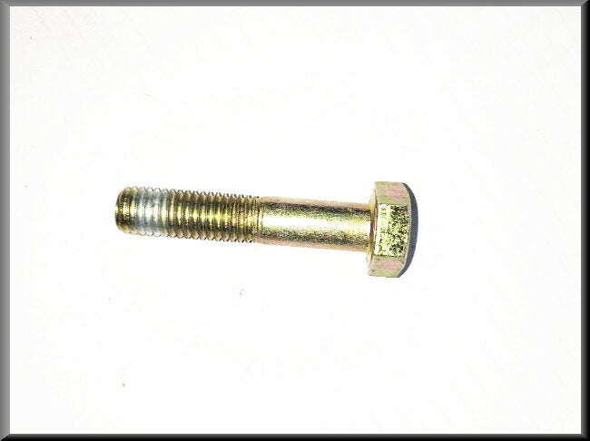 Bout M10x50 (geel gepassiveerd)