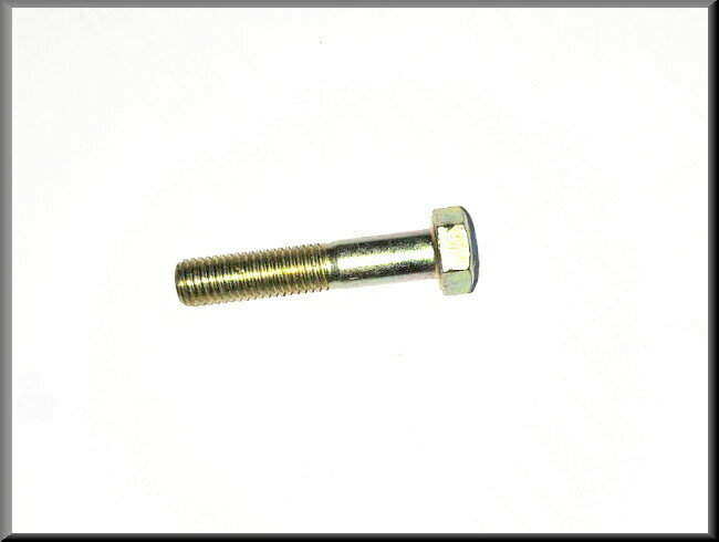 Bout M12x40 (geel gepassiveerd)