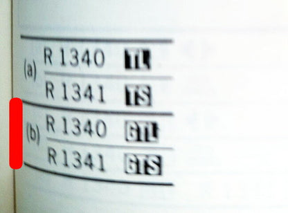 Moulure de porte arrière gauche – Renault 18 – OEM 7700640062 – NOS