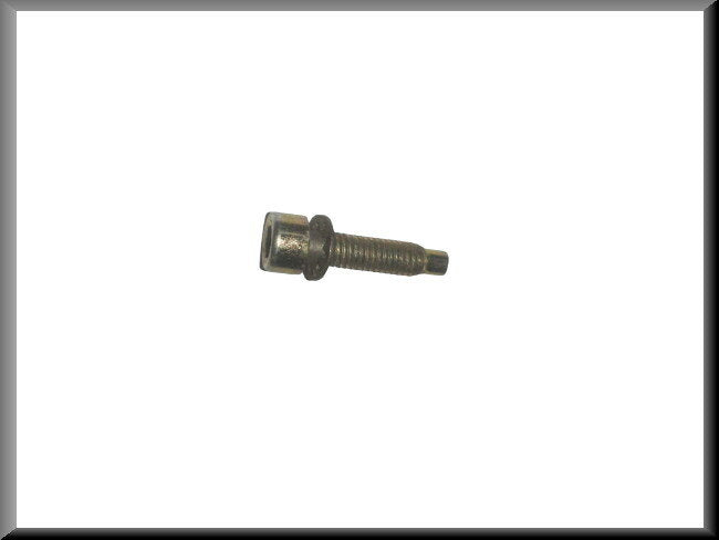 Inbusbout met ring – Renault 16 – OEM 7703001025