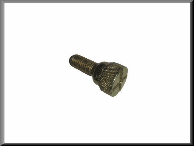 Boulon de fixation de dossier de banquette arrière – Renault 16 – OEM 0608490800
