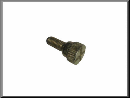 Boulon de fixation de dossier de banquette arrière – Renault 16 – OEM 0608490800