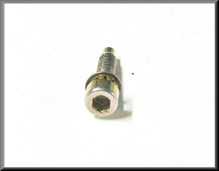 Allen bolt M6 25 mm (yellow passivated) – Renault 16