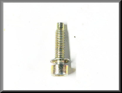 Allen bolt M6 25 mm (yellow passivated) – Renault 16