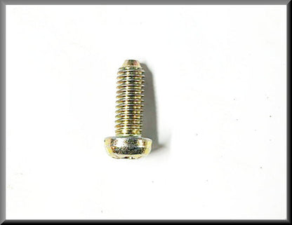 Vis à tête cruciforme M6 16 mm (passivé jaune) – Renault 16