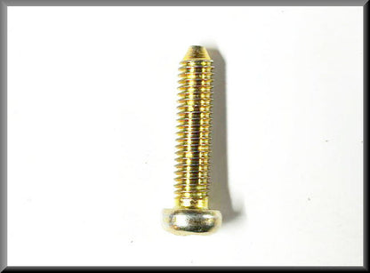 Crosshead bolt M6x30 (yellow passivated) – Renault 16