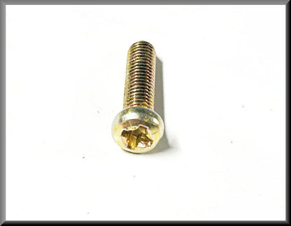 Crosshead bolt M6x30 (yellow passivated) – Renault 16