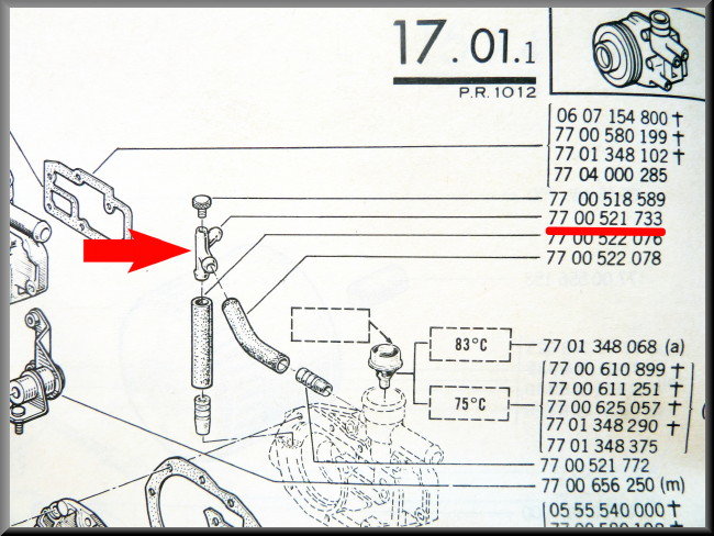 Purgeur de pompe à eau (métal) – Renault 12 – Renault 15 - Renault 17 - OEM 7700521733