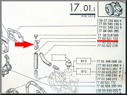 Purgeur de pompe à eau (métal) – Renault 12 – Renault 15 - Renault 17 - OEM 7700521733