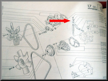 Purgeur de pompe à eau (métal) – Renault 12 – Renault 15 - Renault 17 - OEM 7700521733