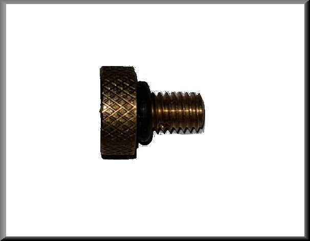 Vis de purge tuyau de dégazage du système de refroidissement – Renault 16 – OEM 7701007672
