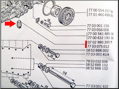 Aftapplug versnellingsbak (magnetisch) – Renault 12 – Renault 15 - Renault 16 - OEM 0702980300