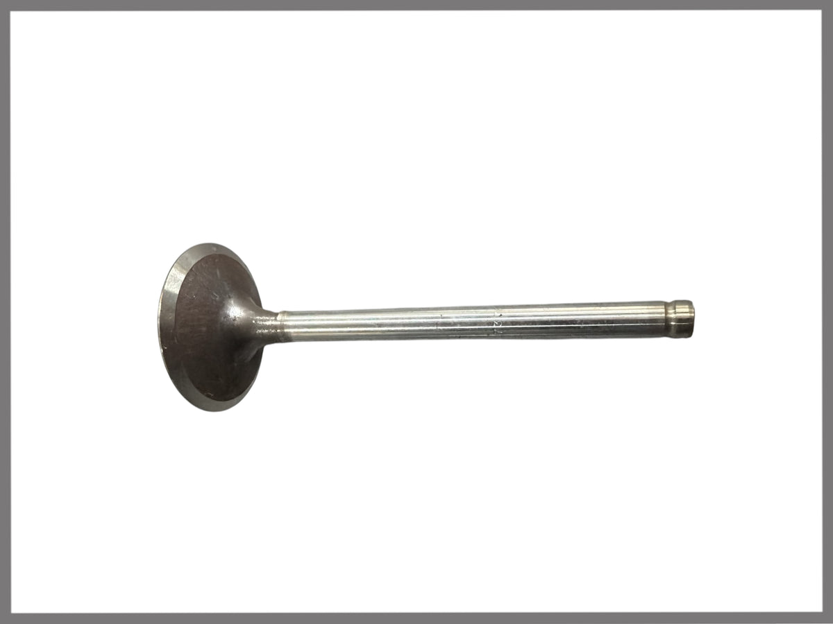 Einlassventil – OEM 7701465325