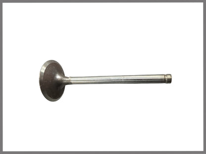 Einlassventil – OEM 7701465325